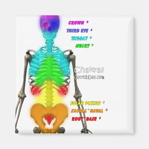 Chakras Skelett-Magnet Magnet