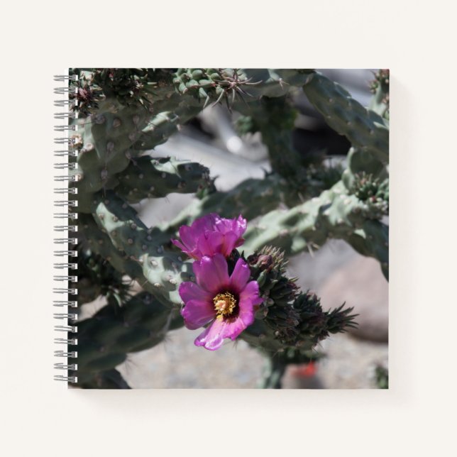 Challa Cactus in Blüte Notizbuch (Vorderseite)