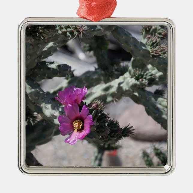 Challa Cactus in Blüte Ornament Aus Metall (Vorne)