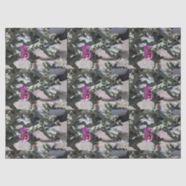 Challa Cactus in Blüte Seidenpapier