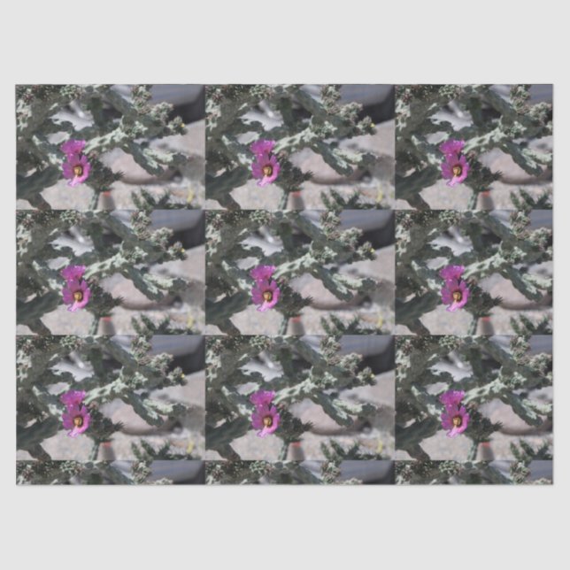 Challa Cactus in Blüte Seidenpapier (Vorderseite)