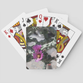 Challa Cactus in Blüte Spielkarten