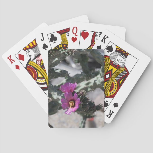 Challa Cactus in Blüte Spielkarten (Rückseite)