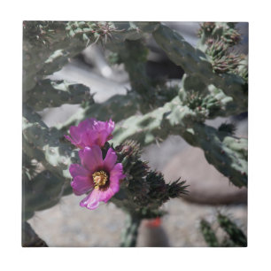 Challa Kaktus in Blüte Fliese