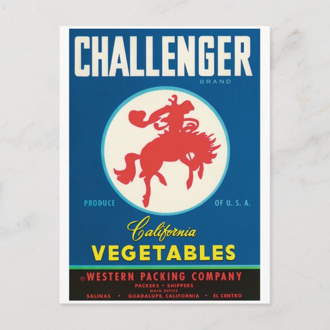 Challenger Rodeo Salinas El Centro Guadalupe CA Postkarte (Vorderseite)