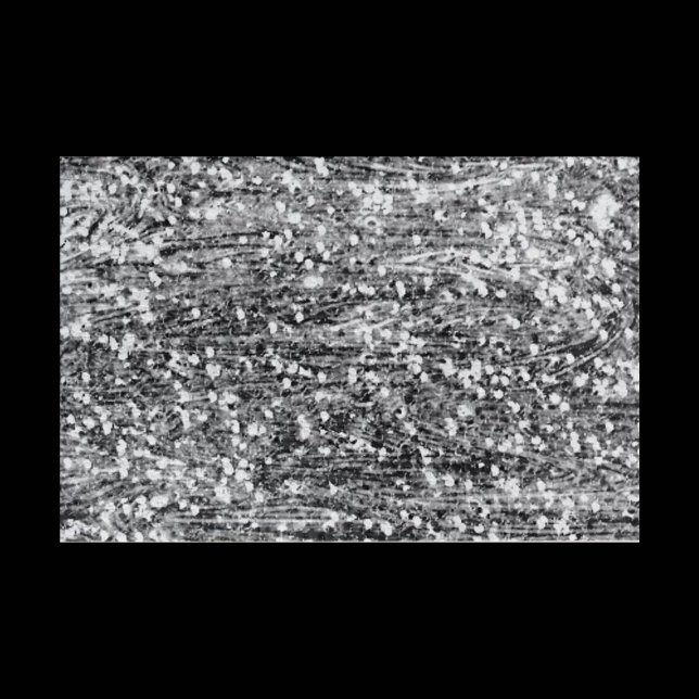 Challenging Black and White (Von Creator hochgeladen)