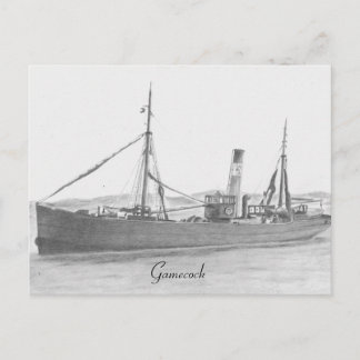 Chalutier à coque - Carte postale Gamecock