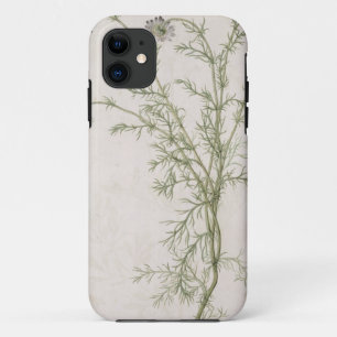 Chamaemelum nobile Allioni, c.1568 iPhone 11 Hülle