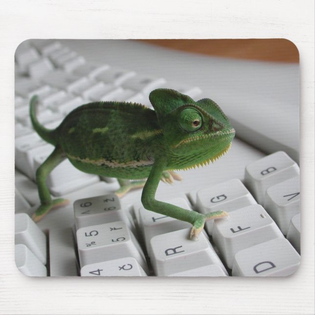 Chamäleon auf Tastatur Mousepad (Vorne)
