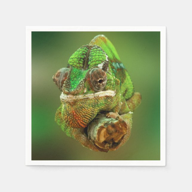 Chamäleon Foto Serviette (Vorderseite)