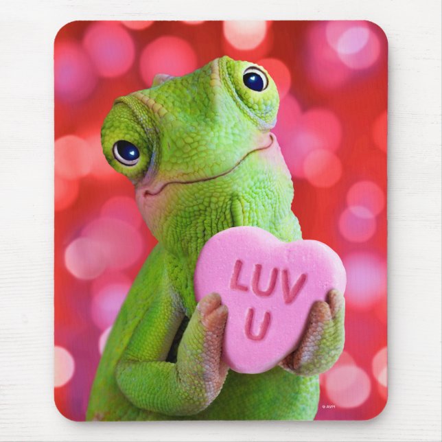 Chamäleon-Herz (Liebe dich) Mousepad (Vorne)