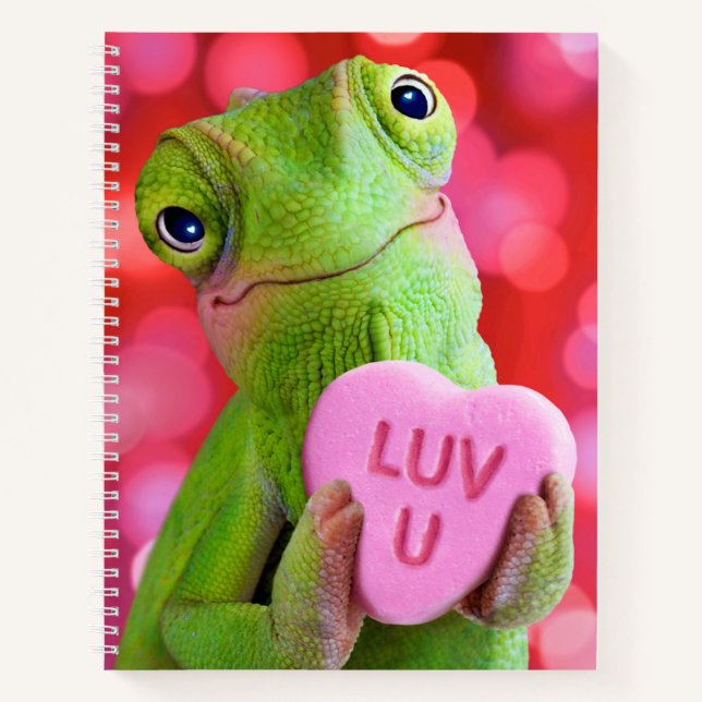 Chamäleon-Herz (Liebe dich) Notizbuch (Vorderseite)