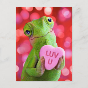 Chamäleon-Herz (Liebe dich) Postkarte