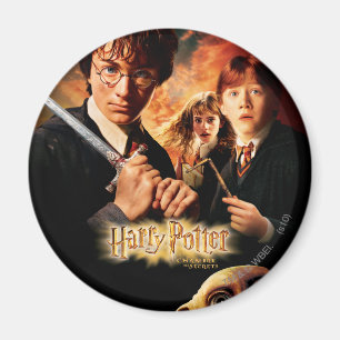Chamber of Secrets - French Magnet