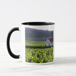 Chambertin Clos de Beze Grand Cru Weinberg mit Tasse