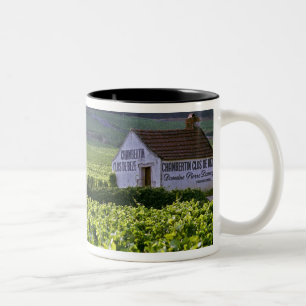 Chambertin Clos de Beze Grand Cru Weinberg mit Zweifarbige Tasse