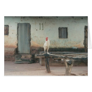 Chambre #11, série de village de la Gambie
