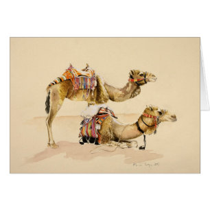 Chameaux de PETRA 2007