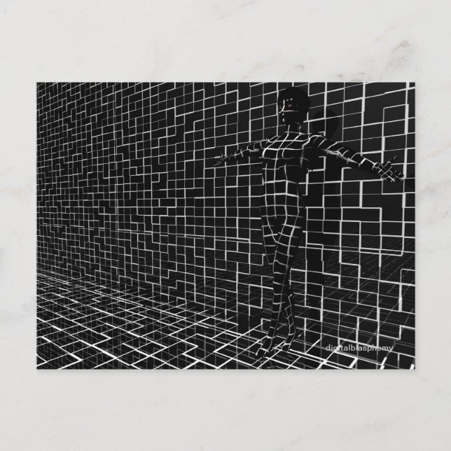 Chamelea Postcard Postkarte (Vorderseite)