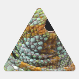 Chameleon Eye Mod Stylish Animal Dreieckiger Aufkleber