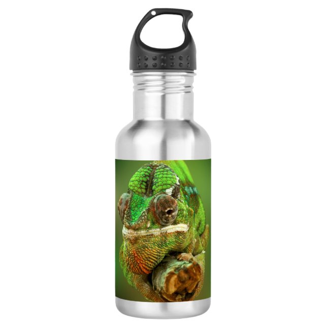 Chameleon Foto Trinkflasche (Vorderseite)