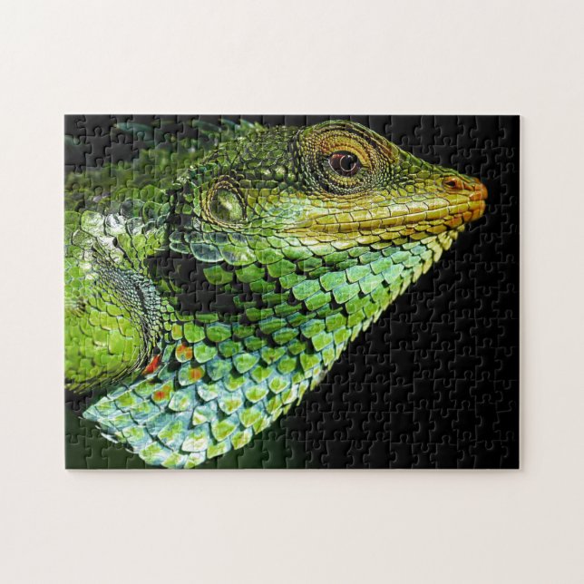 Chameleon Head Nah-up, Jigsaw Puzzle (Horizontal)