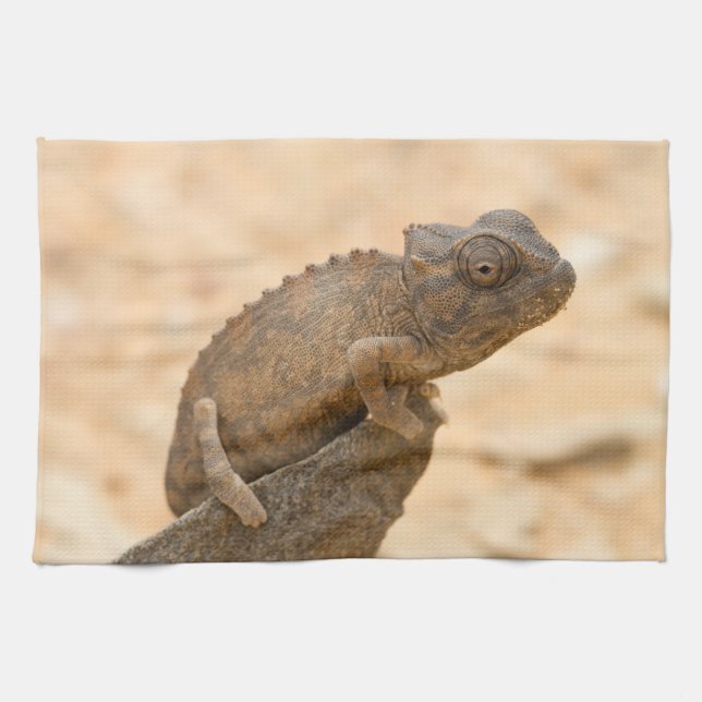 Chameleon in Namibia Geschirrtuch (Horizontal)