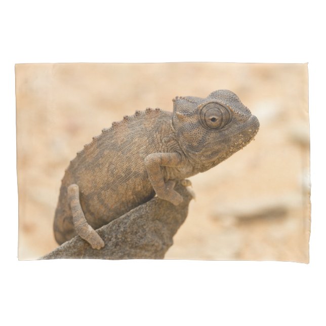 Chameleon in Namibia Kissenbezug (Vorderseite)