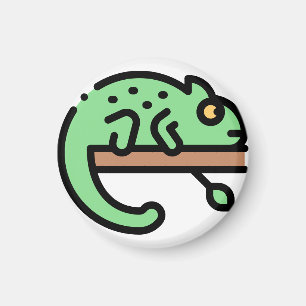 Chameleon Magnet