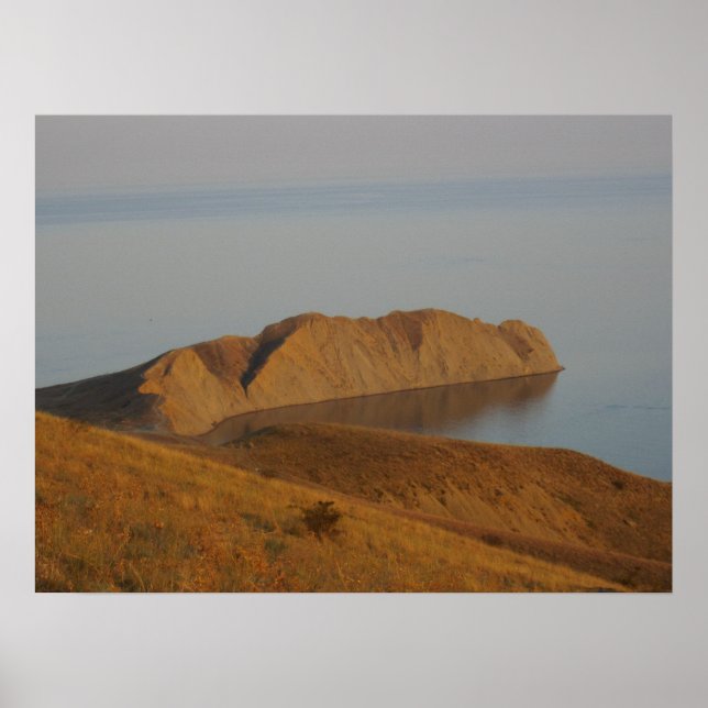 Chameleon Poster (Vorne)