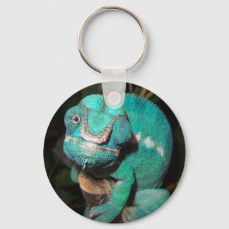 Chameleon Schlüsselanhänger