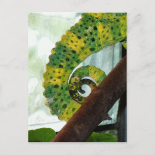 Chameleon Schwanz Postkarte