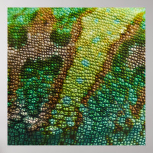 Chameleon Skin Texture Template Poster