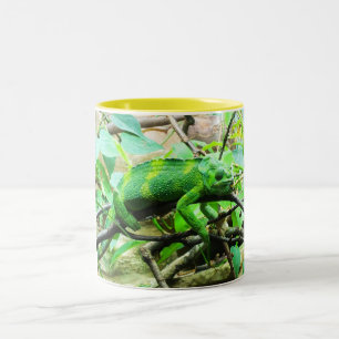 Chameleon Zweifarbige Tasse