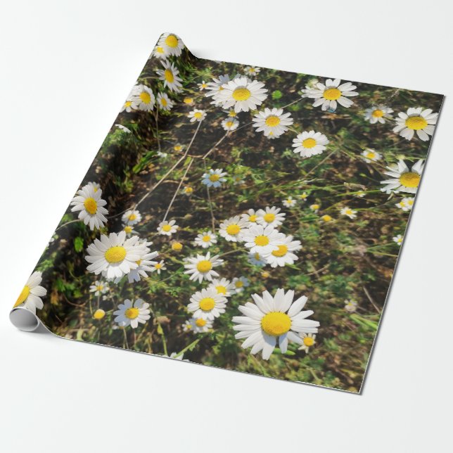 Chamomile-Blume Geschenkpapier (Ungerollt)