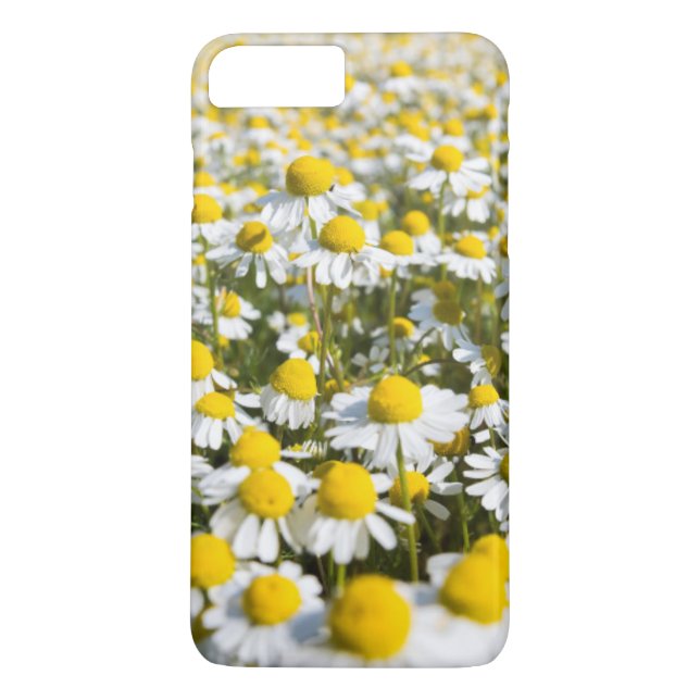 Chamomile Blume nah-up, Ungarn Case-Mate iPhone Hülle (Rückseite)