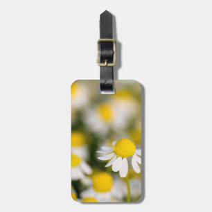 Chamomile Blume nah-up, Ungarn Gepäckanhänger