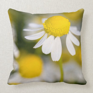 Chamomile Blume nah-up, Ungarn Kissen