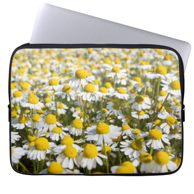 Chamomile Field, Ungarn Laptopschutzhülle (Vorderseite)