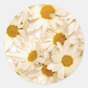 Chamomiles Runder Aufkleber