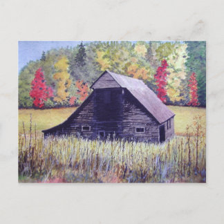 Champ Automne - carte postale