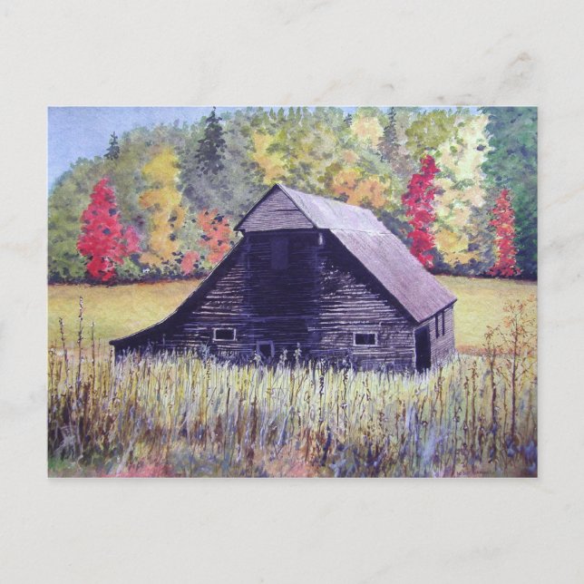 Champ Automne - carte postale (Devant)