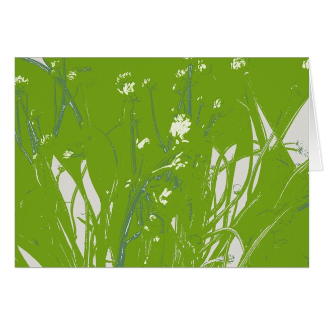 champ camomille vert (Devant horizontal)