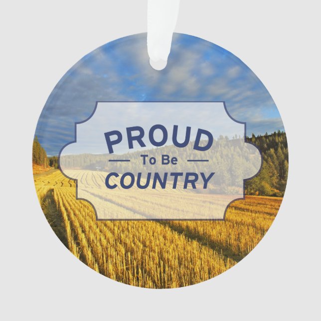 Champ de blé après récolte (devant)