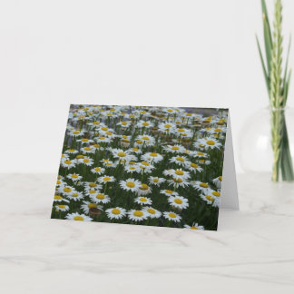 Champ de carte de voeux de fleurs