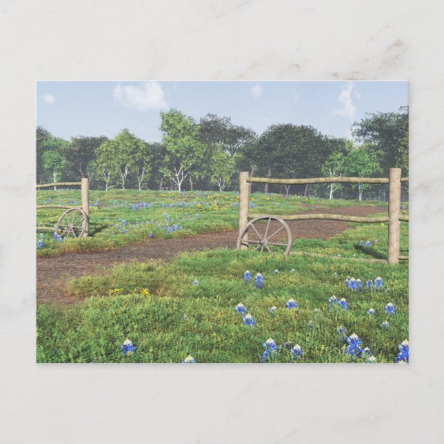 Champ de carte postale Bluebonnets (Devant)