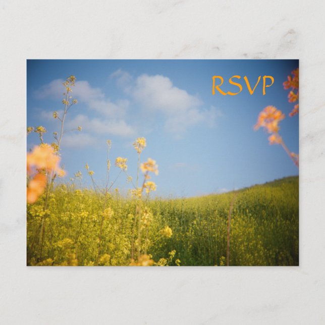 Champ de la carte postale RSVP (Devant)