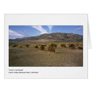 "Champ de maïs de diables "