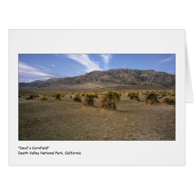 "Champ de maïs de diables " (Devant horizontal)