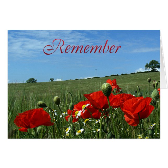 Champ de pavot de jour de souvenir (Devant horizontal)